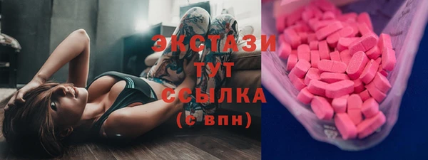 индика Бугульма