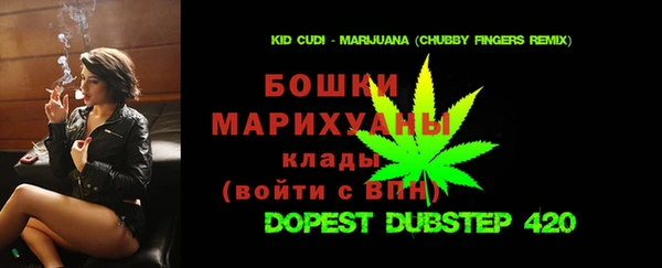 индика Бугульма