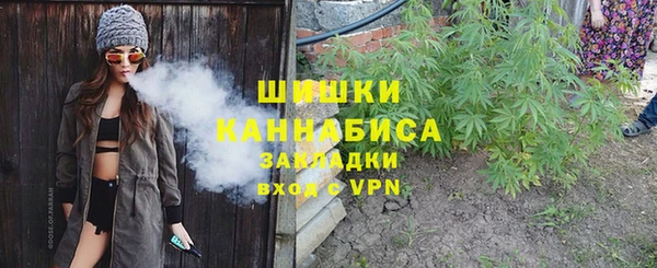 индика Бугульма