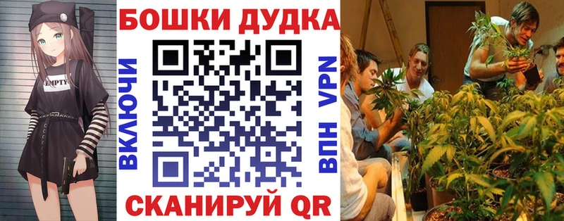 Бошки марихуана OG Kush  Петропавловск-Камчатский 